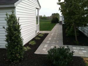 considerations planting patios driveways walks near paver walkway