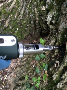 tree injection