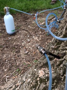 tree injection iv system
