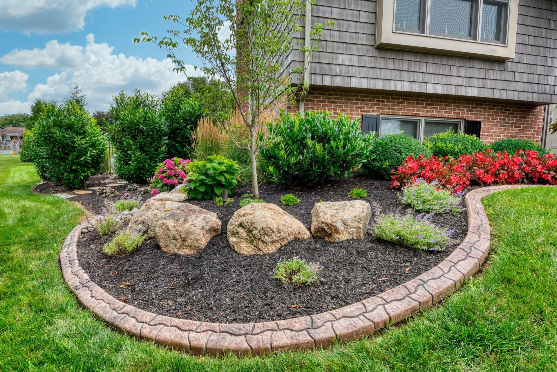 Hero image for this page