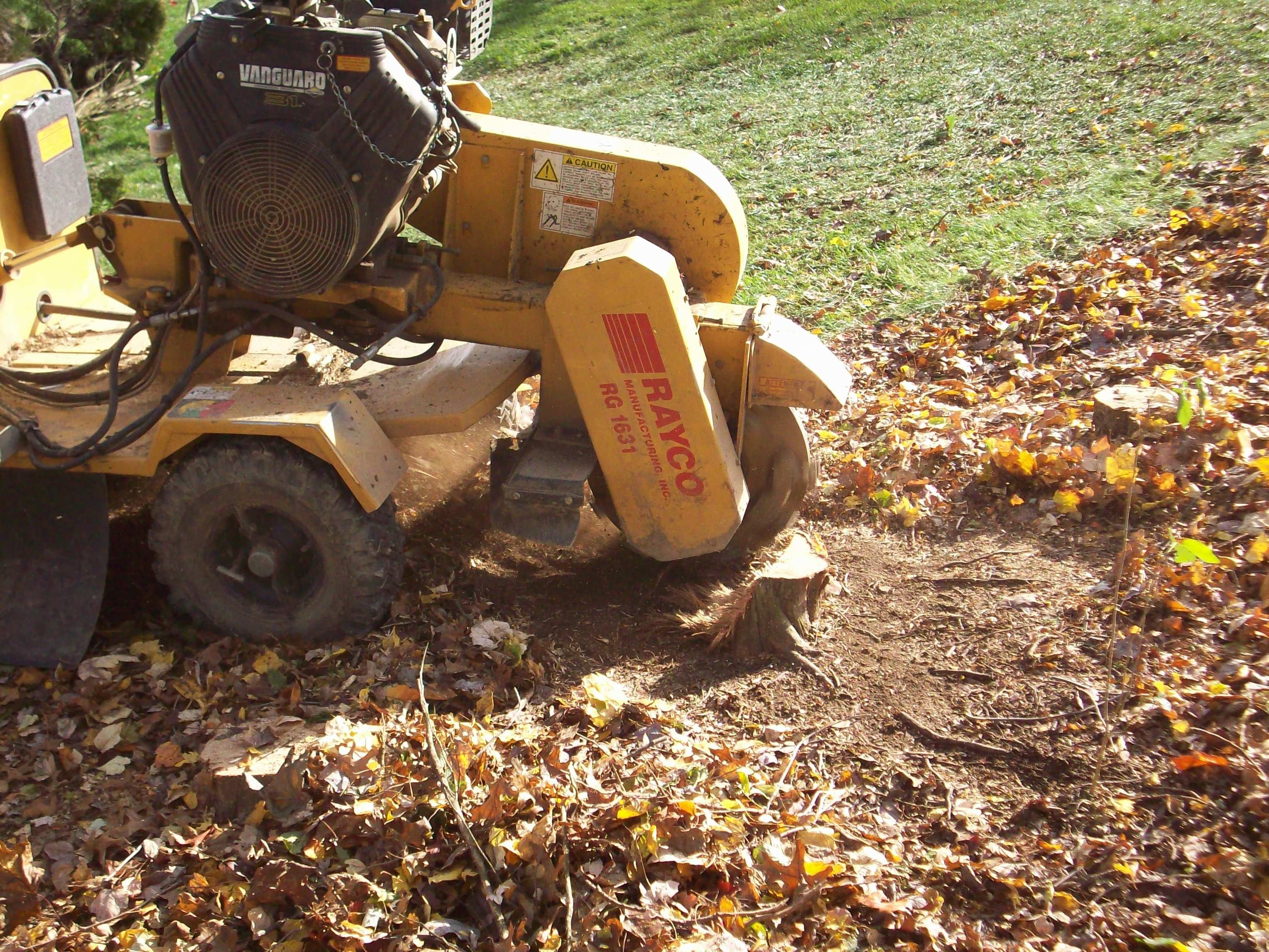 Removal & Stump Grinding