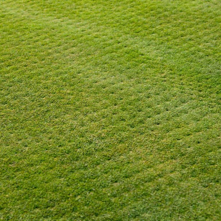 Homeowners: Your Fall Aeration & Seeding Guide - Tomlinson Bomberger
