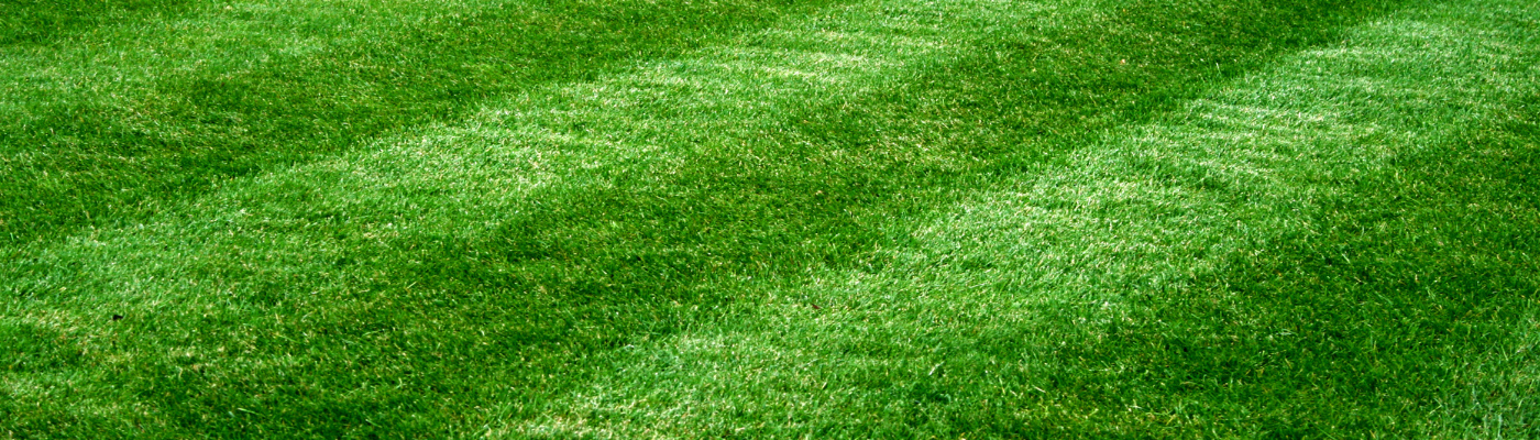 It’s National Lawn Care Month: Lawn Care Tips for Beautiful Spring Grass - Tomlinson Bomberger