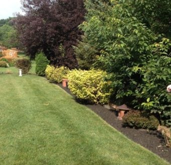 Fresh mulch line along a landscape bed in spring