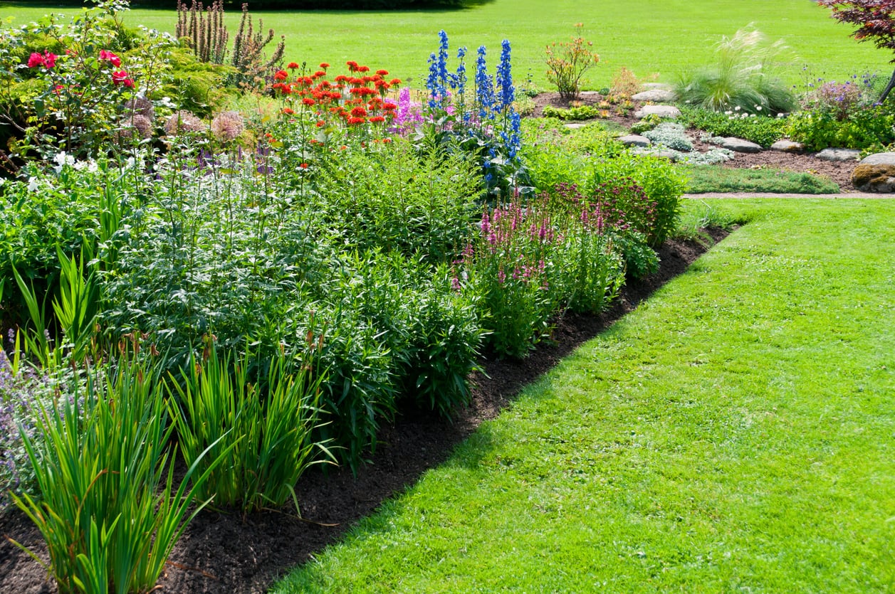 Dig Deep: 2025 Garden Design Trends for a Sustainable, Modern Outdoor Space - Tomlinson Bomberger