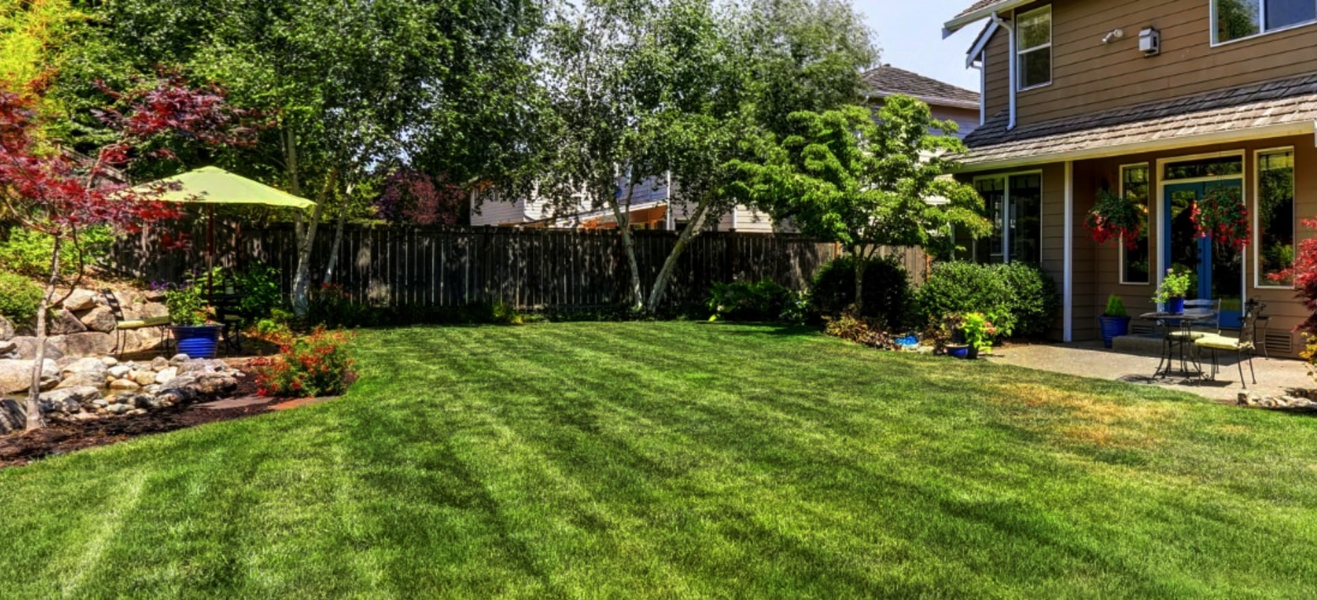 Look at grass and know grass your grass type