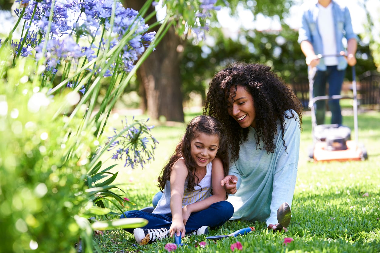 Landscape weeding dandelions