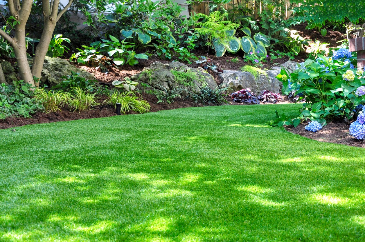Professionally manicured lawn and garden.