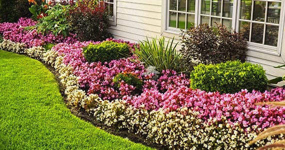 Central PA's Landscape Experts
