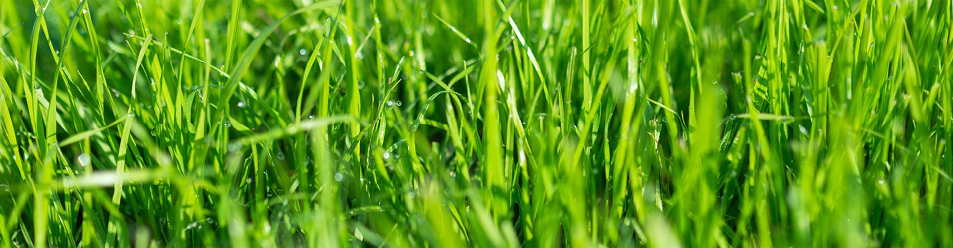 Mother lifting daughter with legs in park