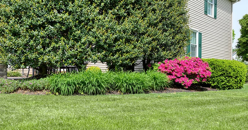Flowerbed Maintenance: How Does Your Garden Grow? - Tomlinson Bomberger