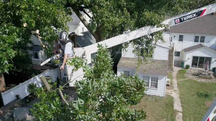 Pruning for Health: Why Tree and Shrub Pruning Matters