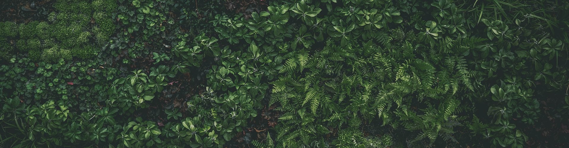 frustrated with questions