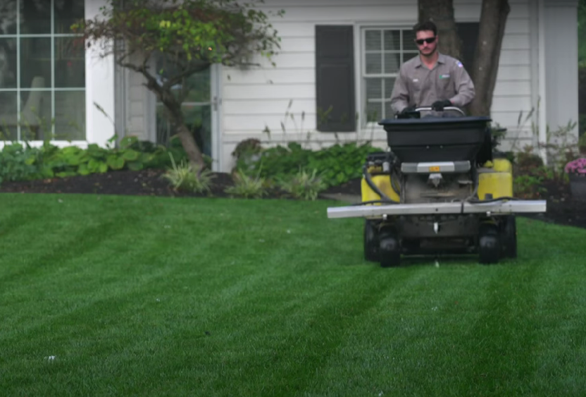 Which Lawn Care Program Is Right for You?
