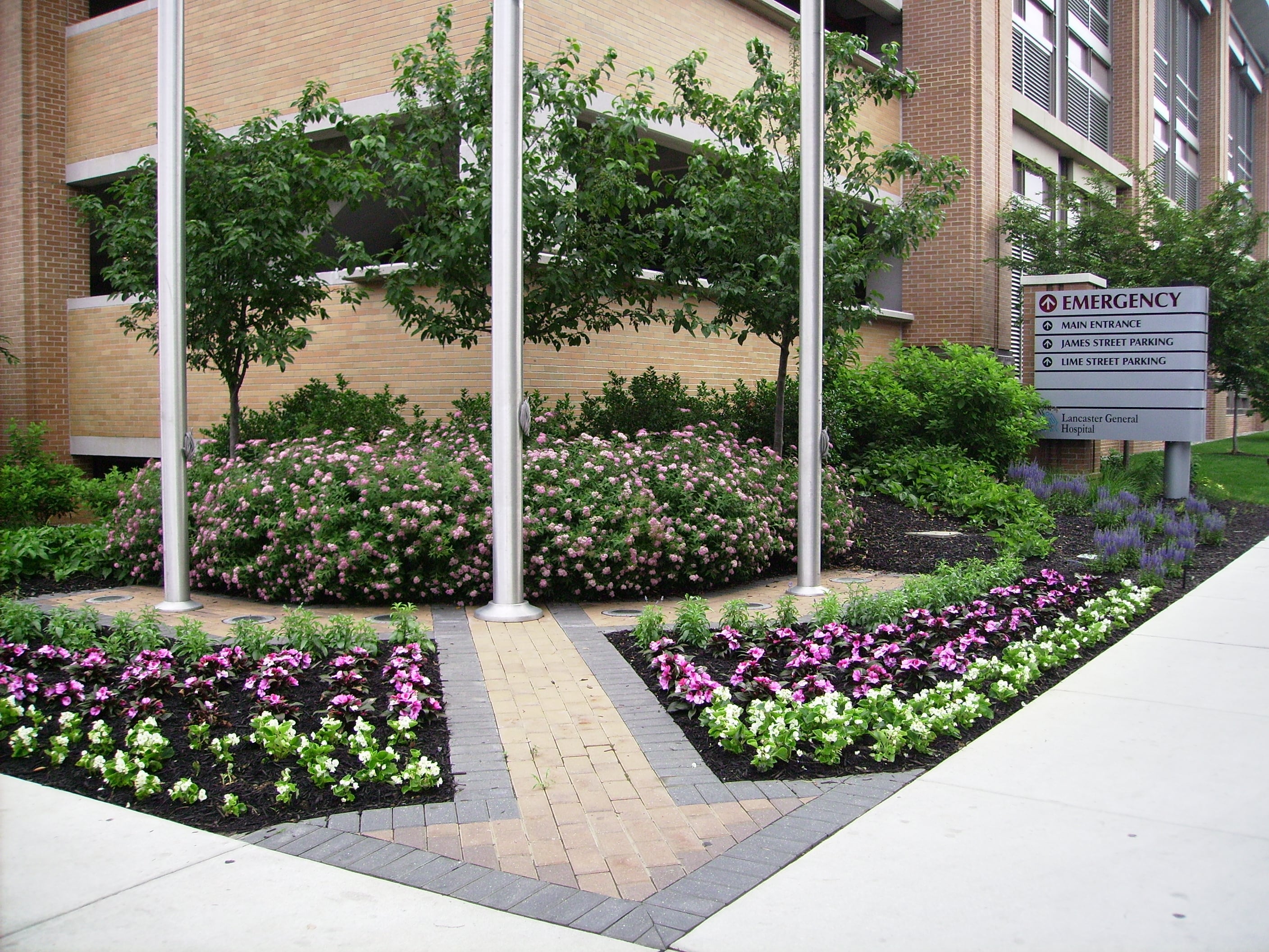 Commercial landscape maintenance