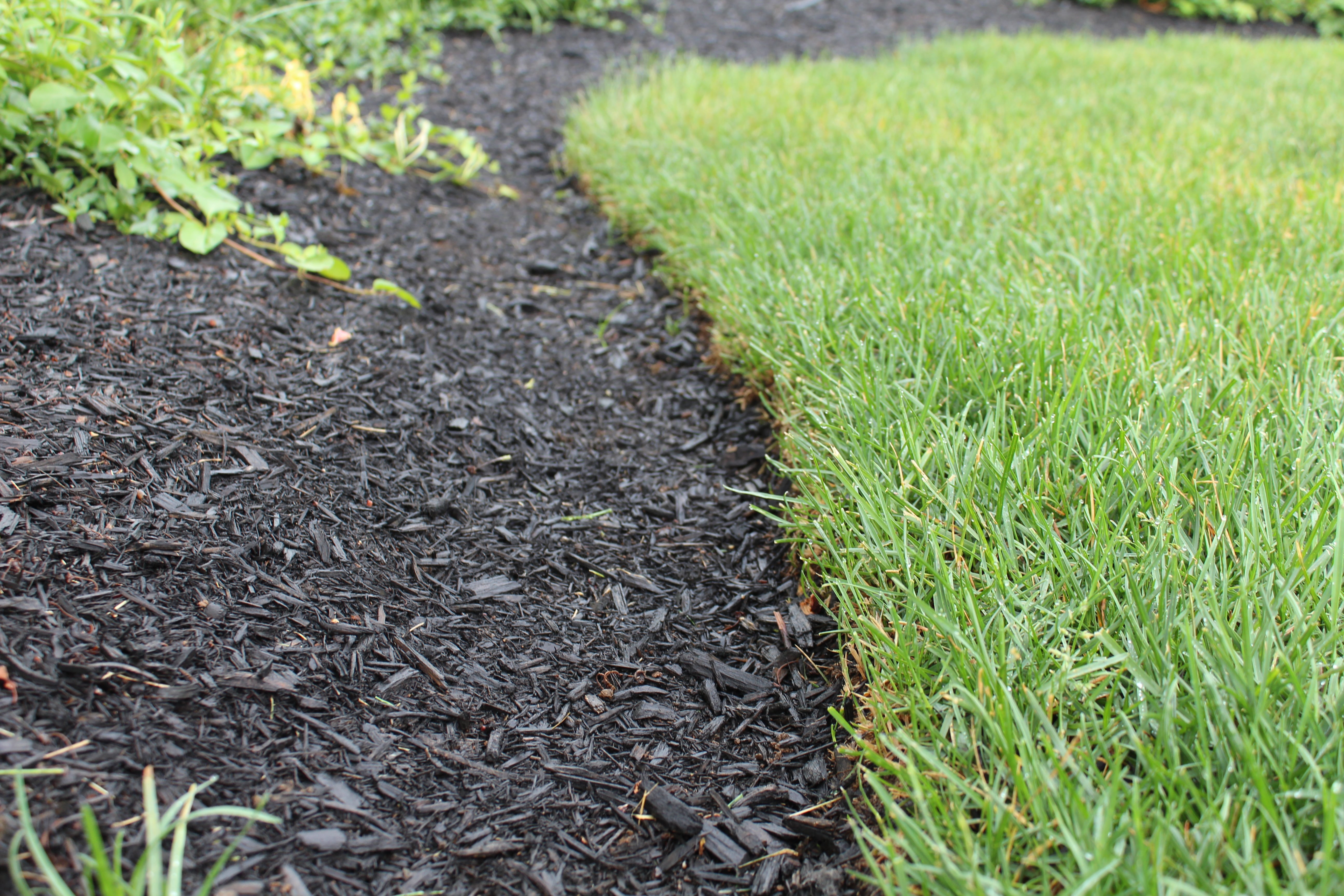 Edging & Mulching