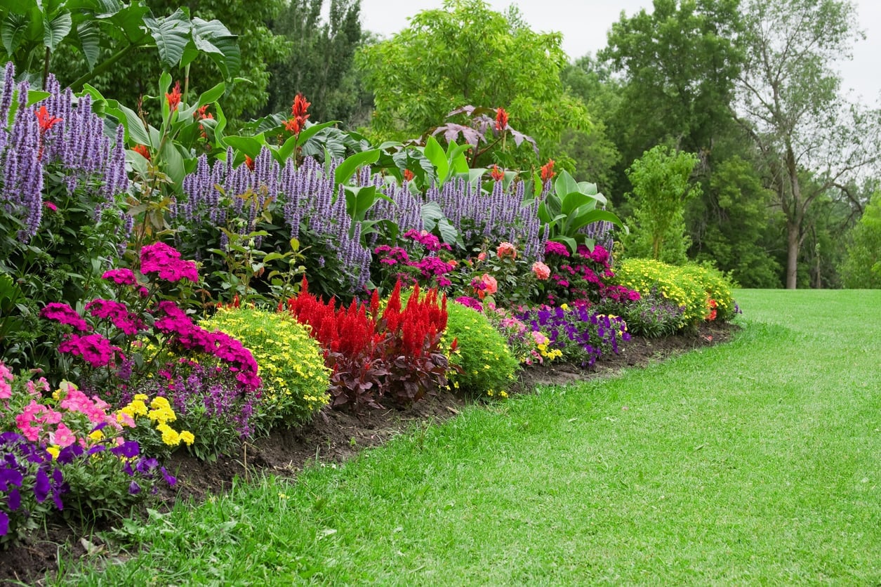 Professional landscape design