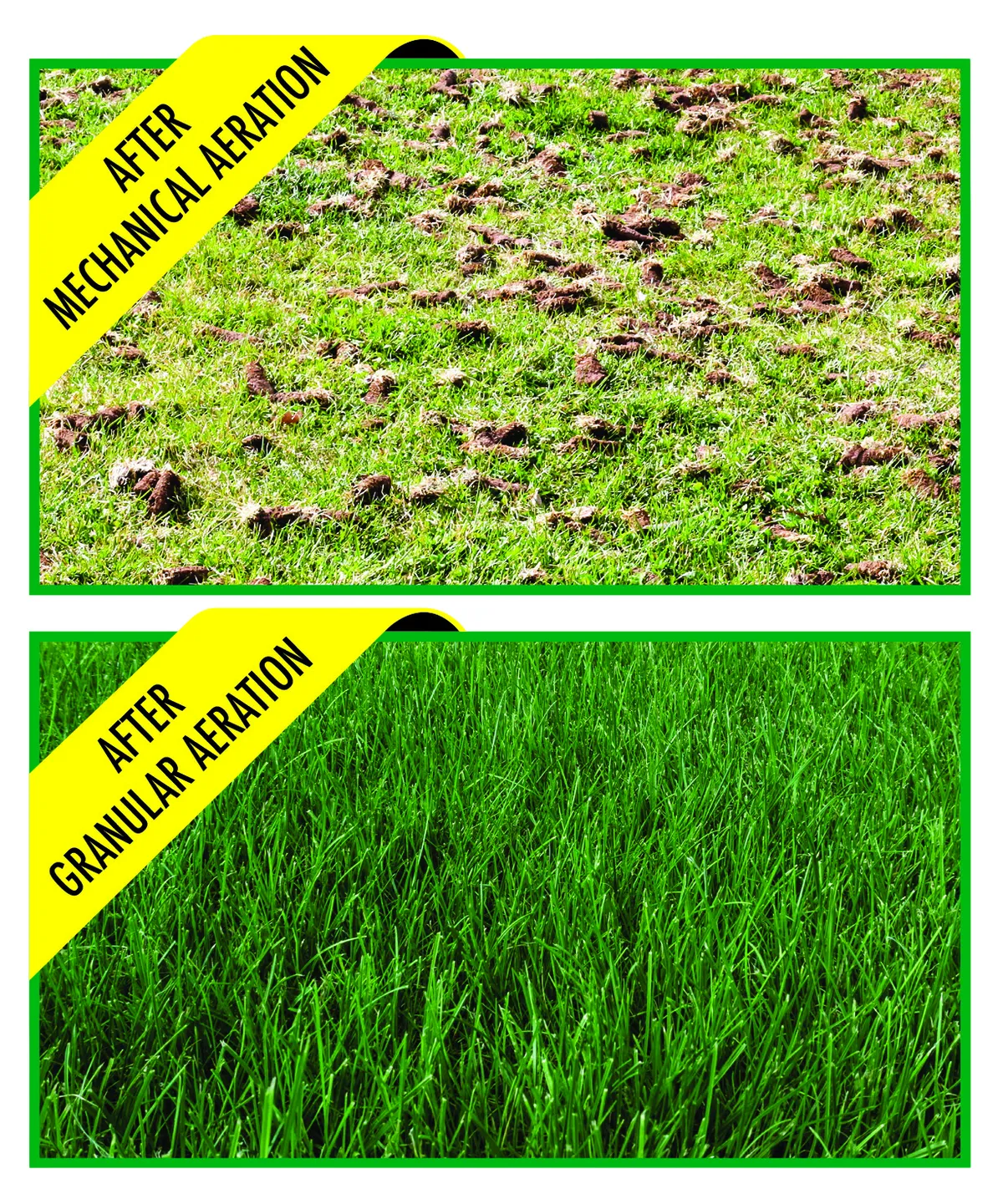 Granular aeration and seeding benefits compared to mechanical aeration