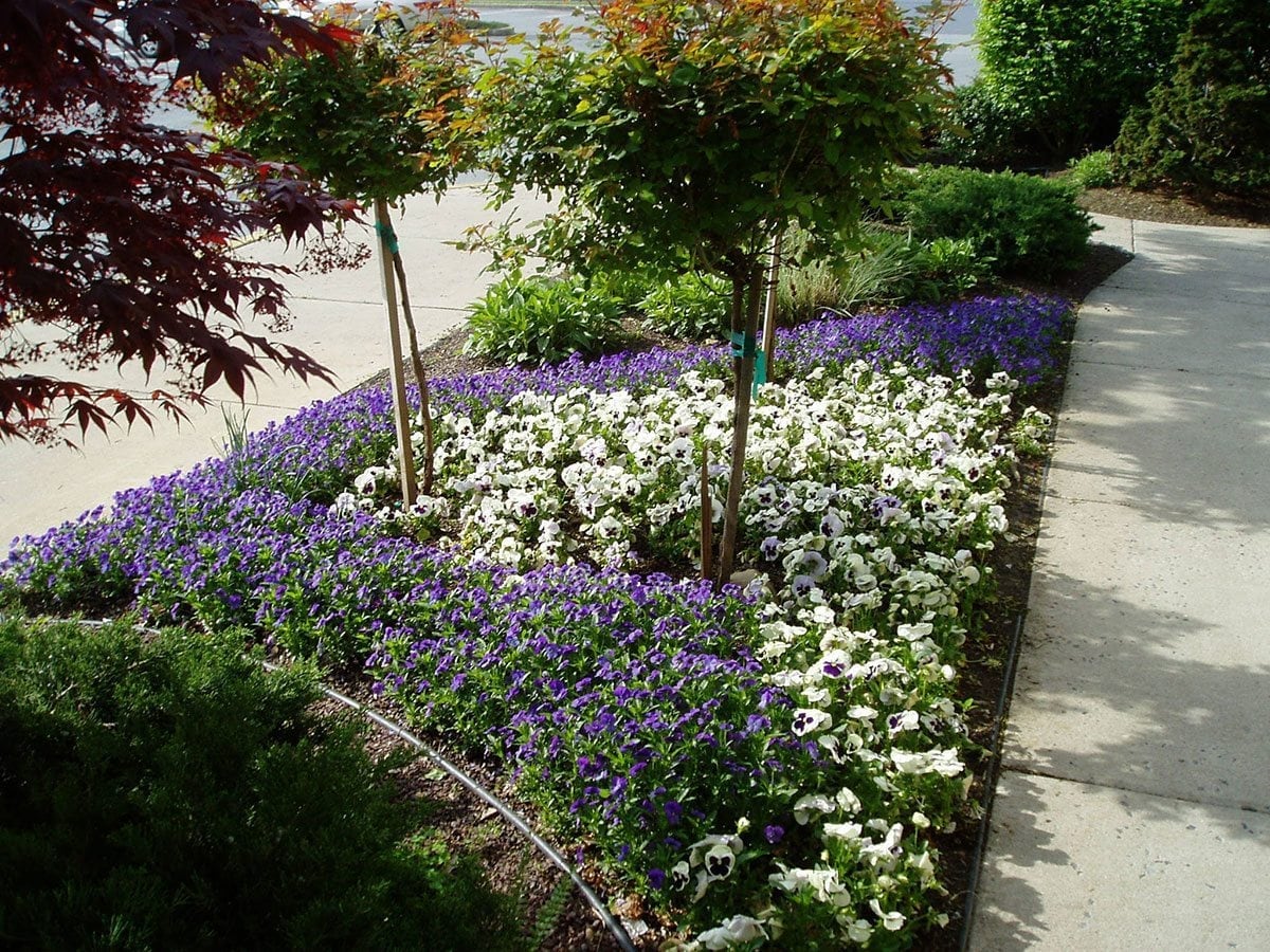 Hero image for this page