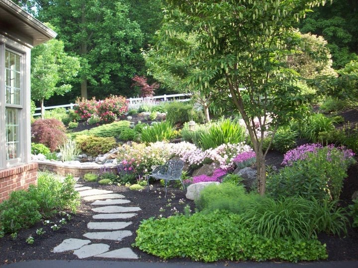 Plant health monitoring