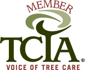 tcia certification