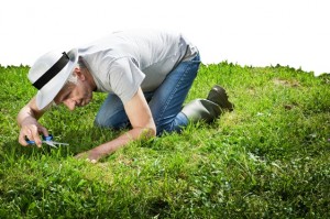 guy cutting grass