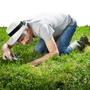 guy cutting grass