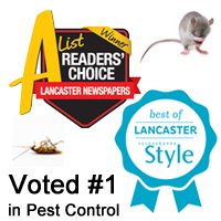 voted number 1 pest control company
