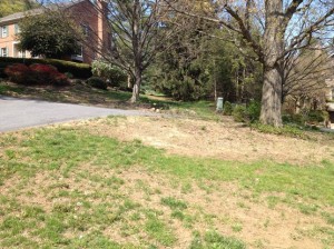 ugly front lawn - erosion by driveway