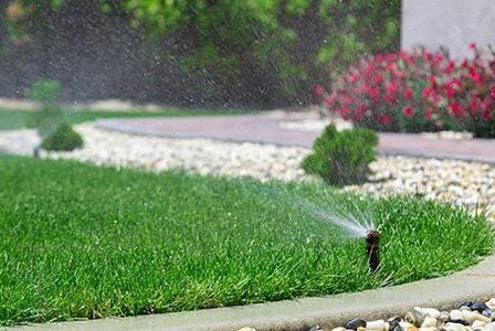 Watering Your New Lawn