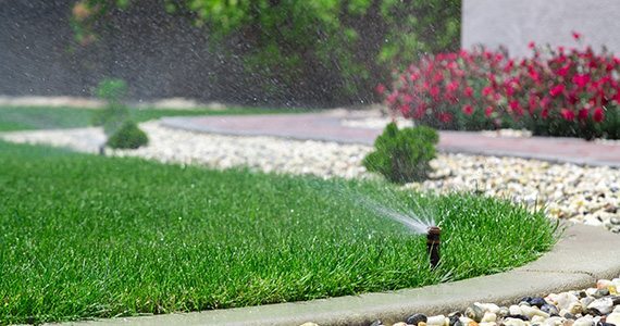 our customized irrigation systems is right for you