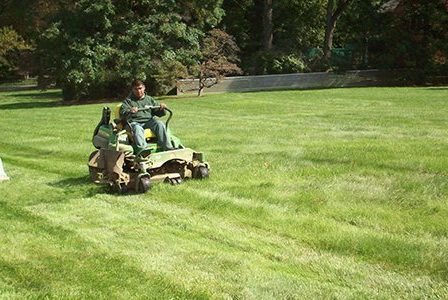 What Dad Never Told You About Lawn Care – <h2>Mowing, Trimming, and Edging</h2><br />