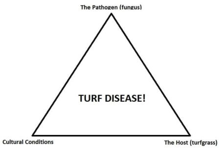 Pathogen Triangle