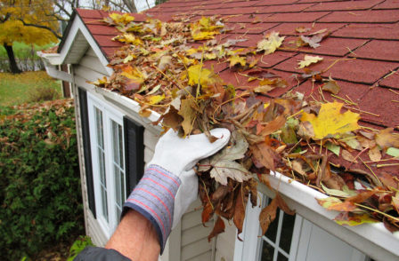 Clean out all of your gutters to keep the pests out