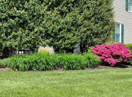 Flowerbed Maintenance: How Does Your Garden Grow?