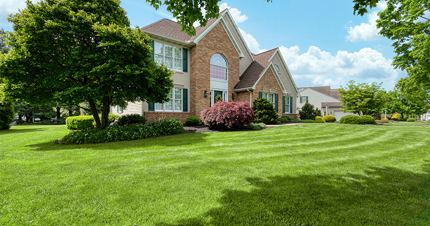 Landscaping services in Lancaster & Harrisburg, PA
