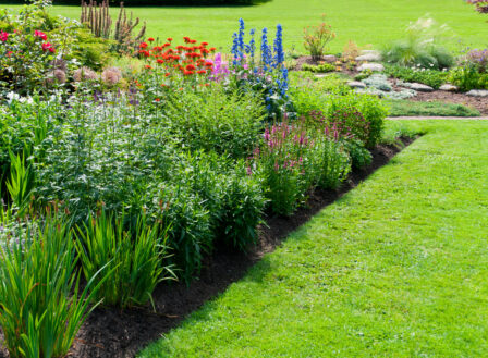 Dig Deep: 2025 Garden Design Trends for a Sustainable, Modern Outdoor Space