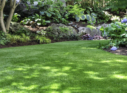 4 Tips for a Beautiful Lawn this Spring