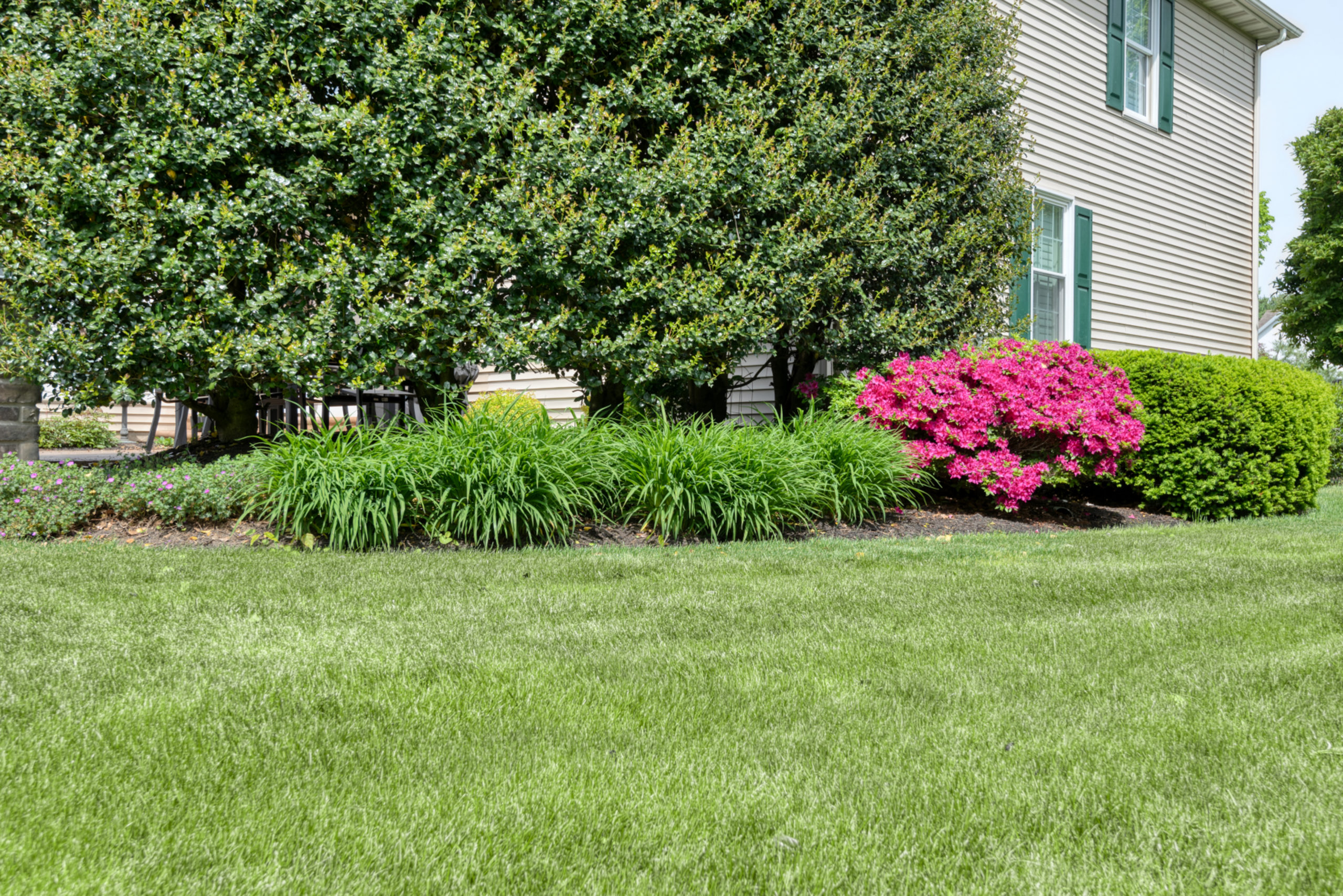 Apply pre emergent product to your lawn to reduce weeds