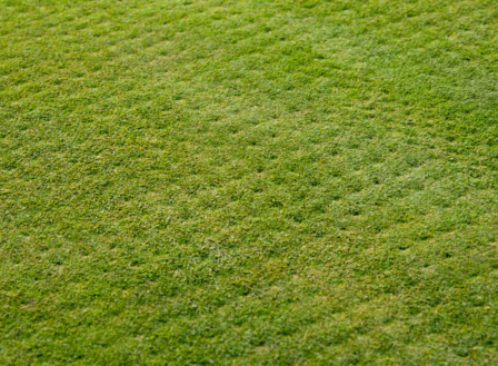 Homeowners: Your Fall Aeration & Seeding Guide