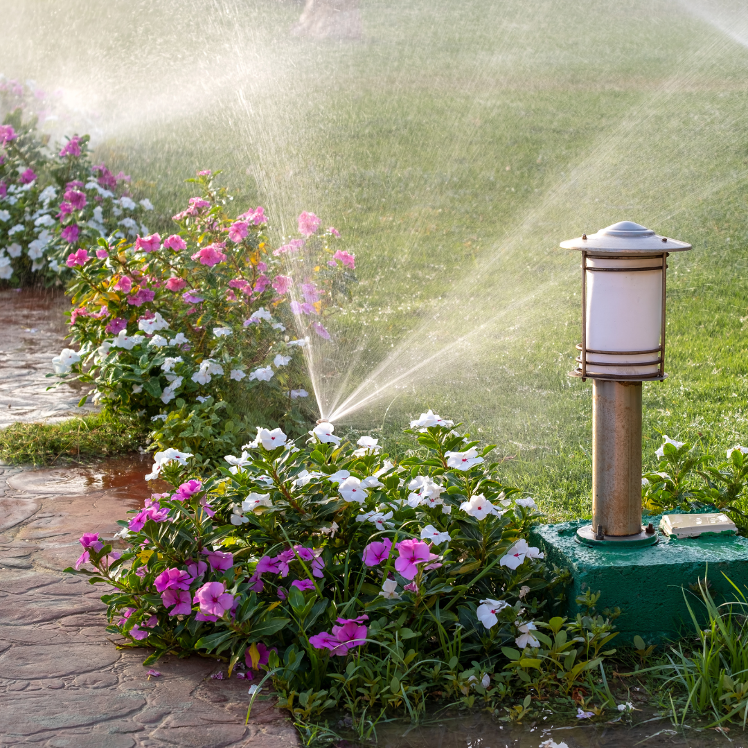 Drip Irrigation: Water-Efficient Gardening Made Simple 